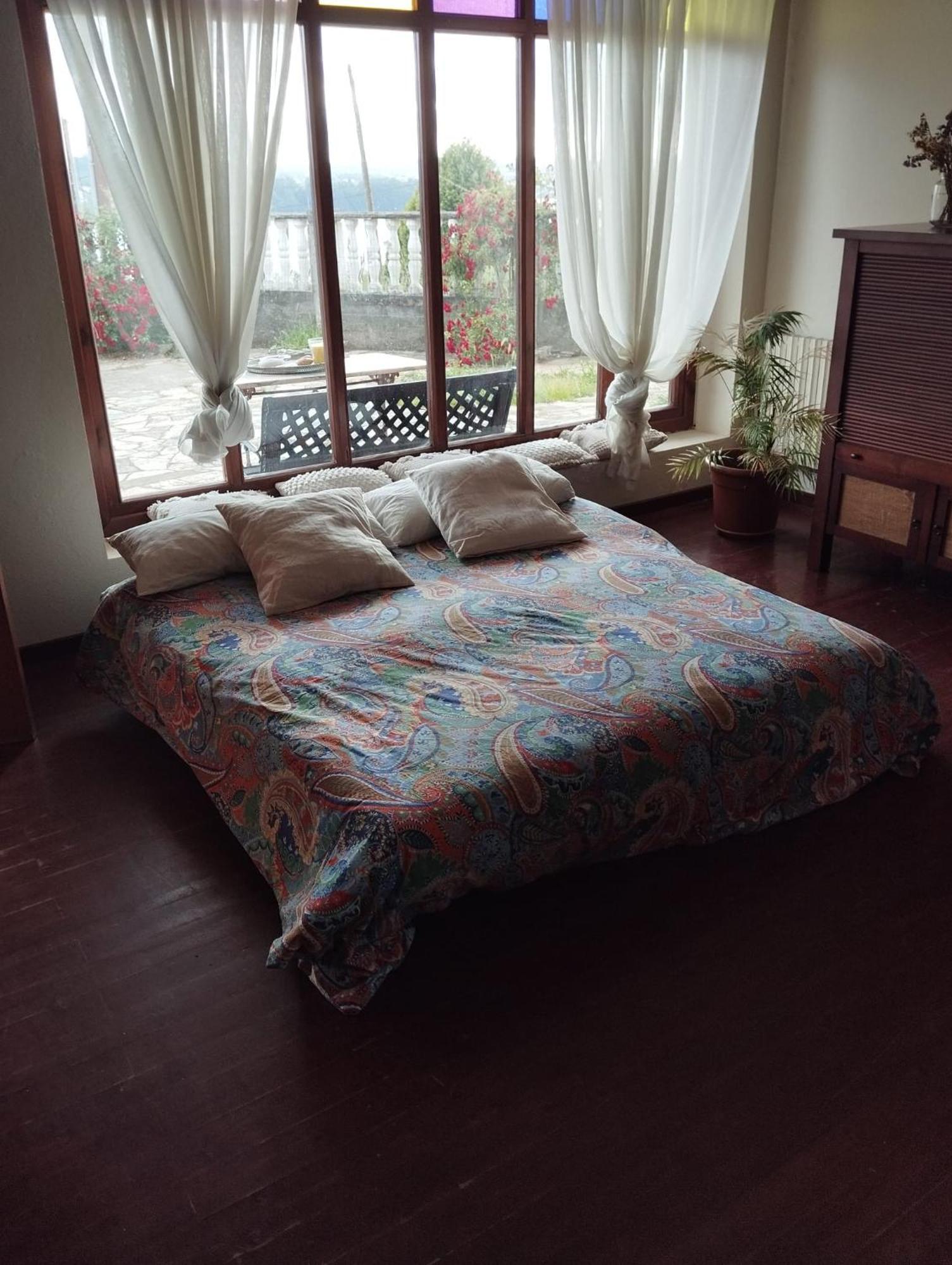 米尼奥A Casa De Roque 1公寓 外观 照片